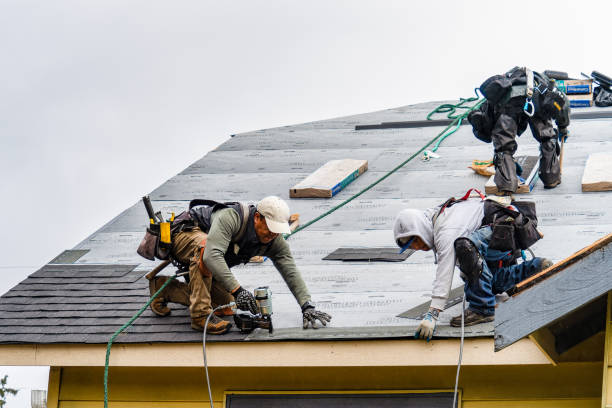 Professional Roofing technician working in North Lima, OH